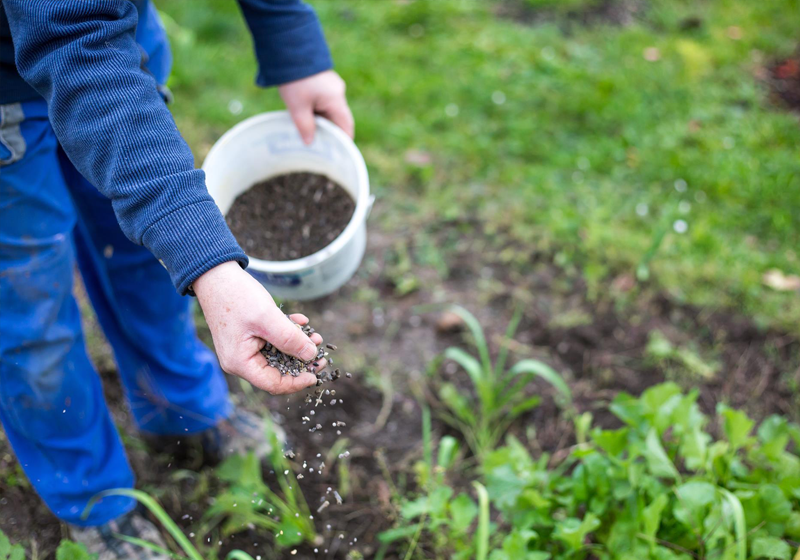 Agriculture biologique